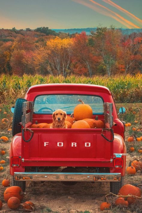 Little Red Truck - Classy Girls Wear Pearls Foto Cowgirl, Country Backgrounds, Classy Girls Wear Pearls, Autumn Scenery, Vintage Truck, Fall Pictures, Red Truck, Fall Wallpaper, Red Aesthetic