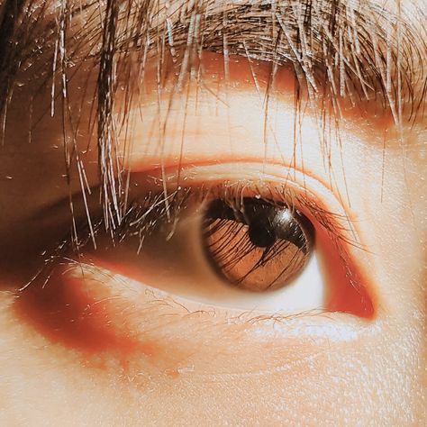 Asian Eyes Male, Men Eyes, Eyes Male, Face Structure, Big Brown Eyes, Amber Eyes, Aesthetic Light, Male Eyes, Asian Eyes