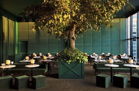 Green Restaurant, Food Shoot, Restaurant Garden, Faux Trees, Greens Restaurant, Natural Interior Design, Hotel Beach, Gardens Of Babylon, Store Concept