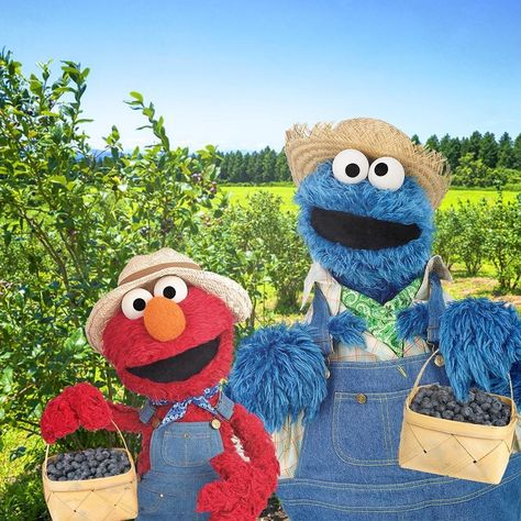 Cookie Monster Pictures, Cookie Monster Funny, Cookie Monster And Elmo, Elmo And Cookie Monster, Sesame Street Muppets, Bert & Ernie, Sesame Street Characters, Jim Henson, Cookie Monster