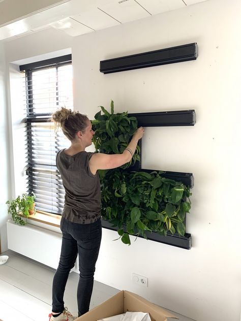 How To Make A Green Wall, Diy Green Wall, Live Plant Wall, Green Wall Ideas, Plants On The Wall, Klein Balkon Decor, Mos Wand, Plant Wall Diy, Deco Spa