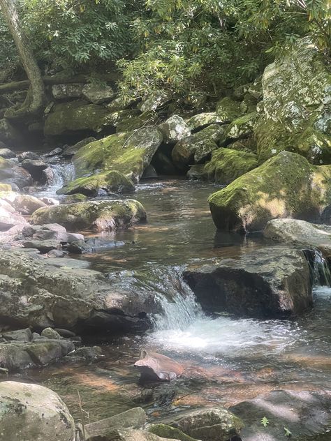 Chasing waterfalls and embracing nature’s beauty—here’s a glimpse of the cascade magic! 💦🍃 #WaterfallWonders #NatureEscape #ChasingWaterfalls Chasing Waterfalls, Quick Saves, Beauty, Nature