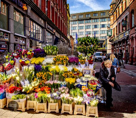 Famous Flower Sellers of Grafton Street, Dublin #ireland #travel #graftonstreet #vsco #street #photography Ucd Dublin Aesthetic, Ucd Dublin, Grafton Street Dublin, Dublin Street, Europe 2023, Grafton Street, Dublin Ireland Travel, Paint Inspo, City Sky