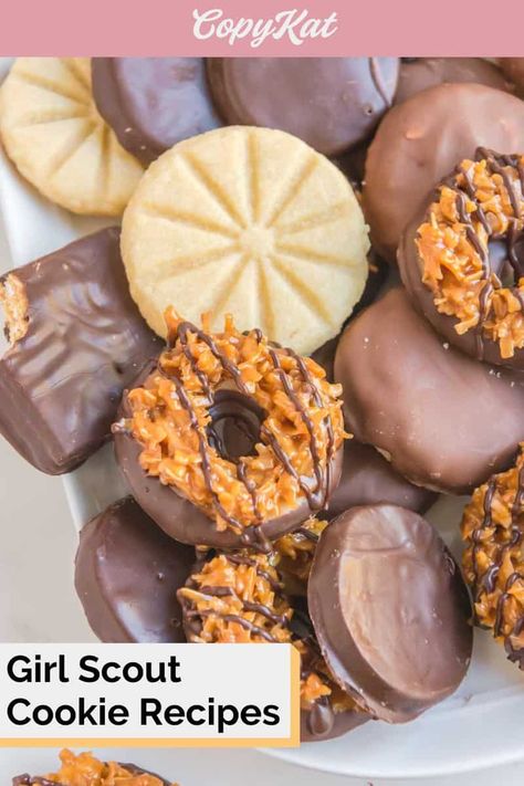 Girl Scout Cookie Recipes, Grasshopper Cookies, Peanut Butter Sandwich Cookies, Beef And Potato Stew, Lemon Shortbread Cookies, Tasty Cookies, Homemade Enchilada Sauce, Fudge Cookies, Peanut Butter Sandwich