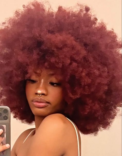 dajnaedoss Red Afro Hair, Red Wine Hair, Red Afro, Hair Content, 4b Hair, Wine Red Hair, Wine Hair, Red Hair Inspo, Break The Cycle