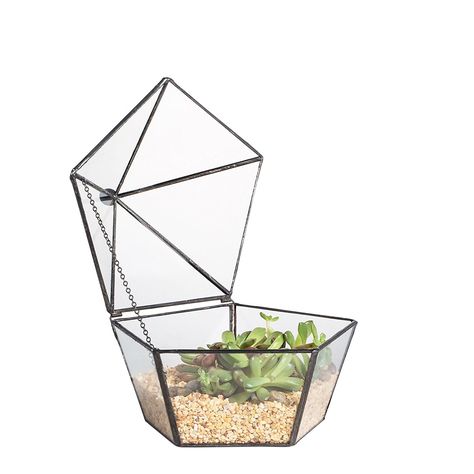 Modern Artistic Clear Glass Jewel-boxed Pentagon Shape Glass Geometric Terrarium Display Plant Succulent Planter Box Moss Fern with Swing Lid: Amazon.co.uk: Garden & Outdoors Geometric Terrarium Centerpiece, Grand Vase Transparent, Terrarium Display, Fern Garden, Terrarium Centerpiece, Small Terrarium, Garden Display, Pentagon Shape, Terrarium Containers