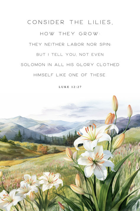 Lilies Of The Field Bible Verse, Wildflowers Bible Verse, Consider The Lilies Of The Field, Bible Flower Quotes, If He Dresses The Lilies Bible Verse, Consider The Lilies Wallpaper, Luke 12:27 Wallpaper, Luke 12:27, Bible Verse Nature