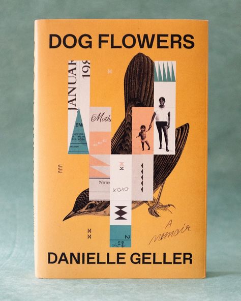 107 Likes, 0 Comments - Mike McQuade (@mikemcquade) on Instagram: “Book jacket for Dog Flowers A Memoir by: Danielle Geller Publisher: Penguin Random House Thank you…” Dog Flowers, Indie Bookstore, Point Reyes, Book Cover Illustration, Book Jacket, Penguin Random House, Dog Flower, Random House, Book Cover Design