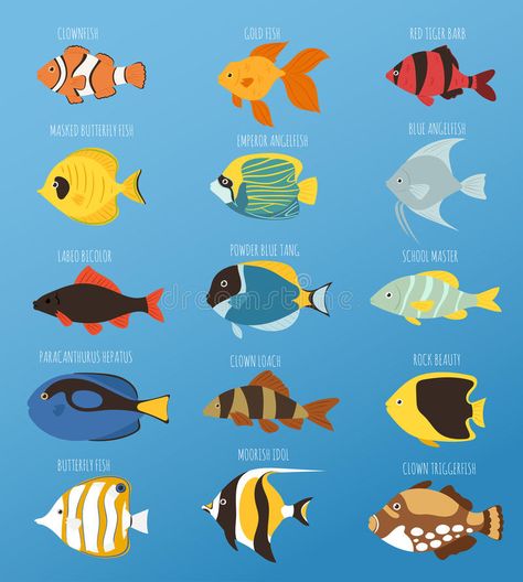 Exotic tropical fish race different breed colors underwater ocean species aquatic strain nature flat vector illustration royalty free illustration Ocean Books, Ocean Illustration, Underwater Ocean, Sea Illustration, Fish Vector, Fish Illustration, Flat Vector Illustration, Underwater Creatures, Fish Drawings