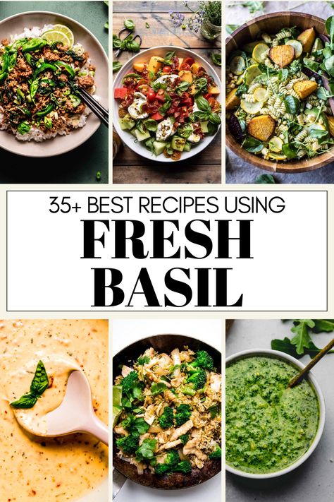 Basil, the ultimate herb of summer, is the star in this collection of 35+ recipes, with a dish for every occasion and mood! Italian Seafood Stew, Lush Desserts, Fresh Basil Recipes, Garlic Roasted Broccoli, Arugula Pesto, Basil Recipes, Rose Recipes, Green Sauce, Healthy Pasta Recipes