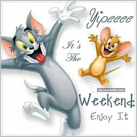 Bon Week End Image, Weekend Greetings, Weekend Images, Tom E Jerry, God Natt, Morning Memes, Happy Weekend Quotes, Happy Friday Quotes, Weekend Quotes