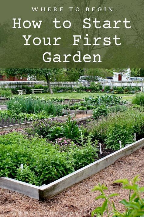 Easy Gardening Hacks, Starter Garden, Above Ground Garden, Start A Garden, First Garden, Backyard Layout, Small Backyard Design Ideas, Garden Layout Vegetable, Vegetable Garden Planning