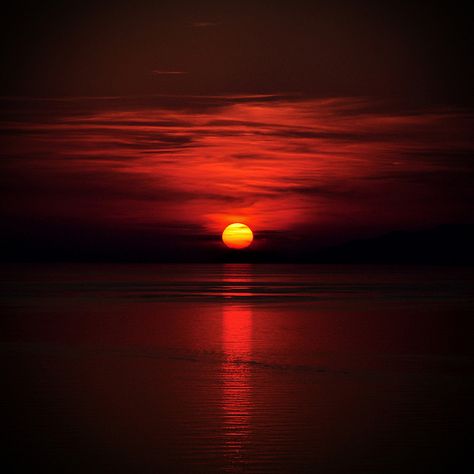 Sunset Images, Image Nature, Red Sunset, Sunset Wallpaper, Red Sky, Sunset Pictures, Sunset Sky, Red Aesthetic, Sky Aesthetic