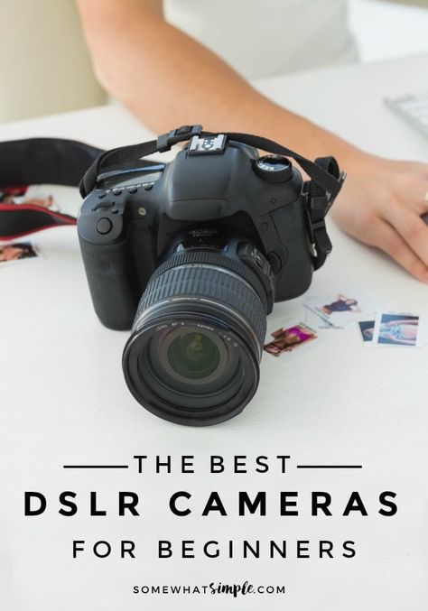 Tips for choosing the best DSLR camera for beginners without spending a fortune! Put your point-and-shoot camera down and take your photography to the next level! #DSLR #Camera #Photo #Photograpy #Tips #Lenses Canon 100d, Dslr Quotes, Cameras For Beginners, Dslr Backpack, Best Camera For Photography, Dslr Photography Tips, Best Dslr, Best Cameras, Dslr Lenses