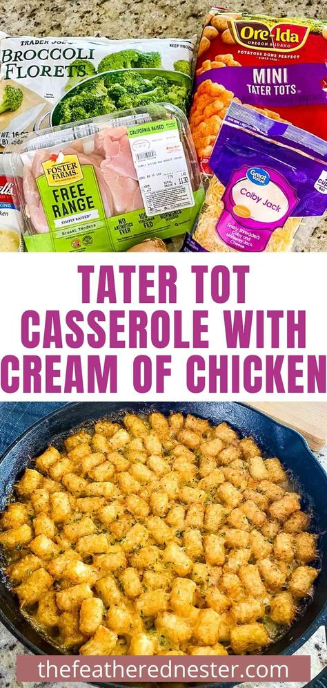 Chicken Broccoli Tater Tot Casserole, Tater Tot Casserole With Broccoli, Broccoli Cheddar Tater Tot Casserole, Tator Tot Chicken Casserole Easy Recipes, Tater Tot Casserole Cream Of Chicken, Chicken Tater Tot Recipes, Tator Tot Casserole With Cream Of Chicken Soup, Easy Chicken Tater Tot Casserole, Shredded Chicken Tater Tot Casserole