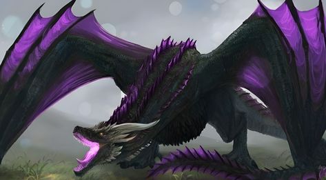 Dragon Tail Design, Black Wyvern Art, Black Dragon Concept Art, Violet Dragon, Large Dragon, Electric Dragon, Dark Purple Dragon, Purple Wyvern, Black Wyvern