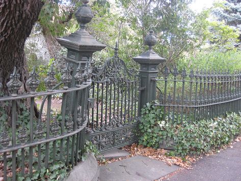 Victorian Backyard, Cast Iron Gates, Cast Iron Fence, Goth Garden, Gothic Garden, Victorian Garden, Wrought Iron Fences, Wrought Iron Gates, Victorian Houses