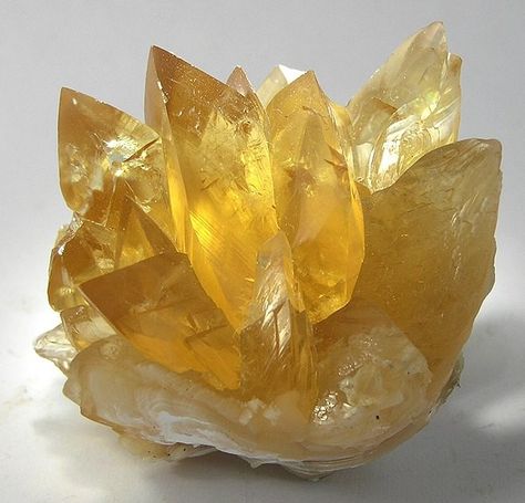 My Honey Calcite Crystal Mining Experience - Hibiscus Moon Crystal Academy | Crystal Healing | Crystal Healer | Crystal Therapy | Certified Crystal Healer | Crystal Grids | Crystal Healing Course Crystal Mining, Honey Calcite Crystal, Ancient Paper, Fort Drum, Yellow Crystals, Afternoon Light, Crystal Aesthetic, Honey Calcite, My Honey