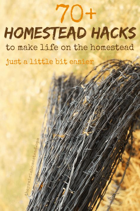 70+ Homestead Hacks | The Prairie Homestead Prairie Homestead, Homestead Farm, Homestead Gardens, Homesteading Skills, Permaculture Design, Homestead Living, Urban Homesteading, Mini Farm, Living Off The Land