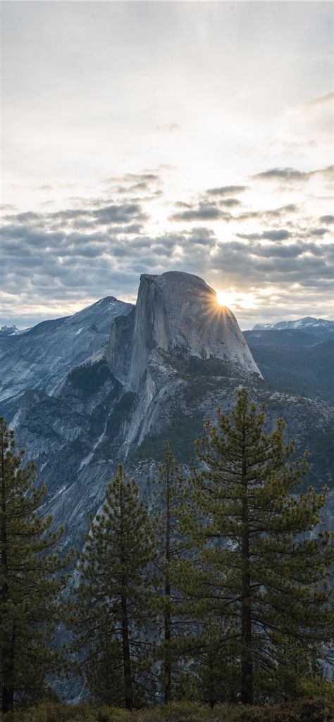 When the night is over iPhone X wallpaper  #tree #forest #cloudy #mountain #pine #yosemitevalley #UnitedStates #GlacierPoint  #Wallpaper #Background #iPhoneX #iPhoneXS #iPhoneXR Yosemite Wallpaper, Forest Wallpaper Iphone, Tree Wallpaper Iphone, Pine Trees Forest, Mountain Wallpaper, Forest Wallpaper, Forest Photography, Tree Wallpaper, Tree Forest