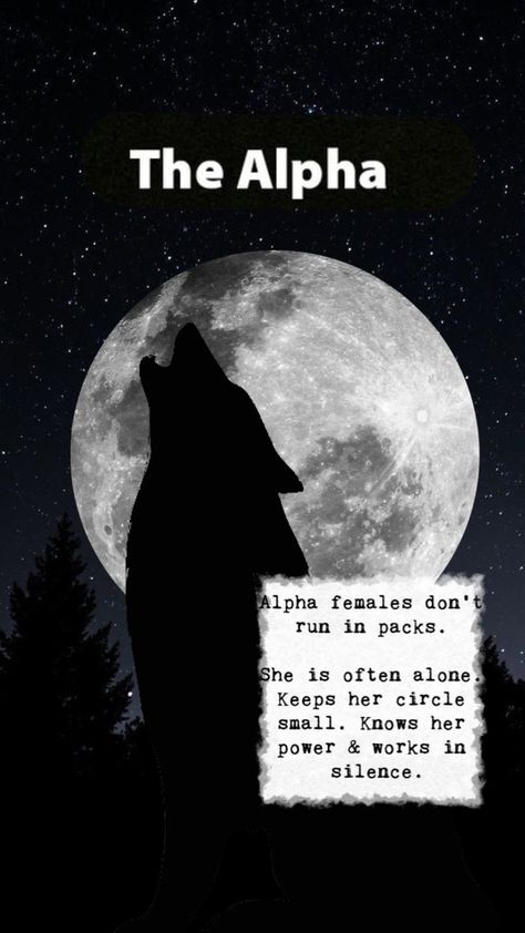 Alpha Wolf Female, Female Wolf Aesthetic, Wolf Quotes Female, Alpha Female Aesthetic Wallpaper, Alpha Female Wallpaper, Alpha Wolf Aesthetic, Wolf Quotes Alpha, Wolves Aesthetic Wallpaper, Wolf Quotes Alpha Female