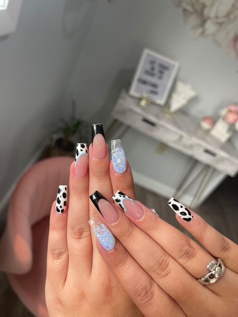 Coffin Shape Cow Print Nails, Cow Print And Blue Nails, Sparkly Cow Print Nails, French Tip Country Nails, Blue Cow Print Nails Acrylic, Glitter Cow Nails, Christmas Cow Print Nails, Blue Cowprint Nails, Teal And Cow Print Nails