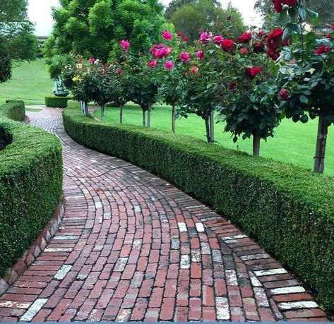 garden decor ideas Garden Edging Ideas Cheap, Amazing Landscaping Ideas, Fall Landscaping, Front Lawn Landscaping, Garden Walkway, Backyard Garden Design, Garden Pathway, Garden Landscape Design, Garden Edging