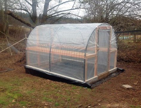 Double Wall Hoop House – Tinker's Blessing Hoop House Greenhouse, House Greenhouse, Pvc Greenhouse, Hoop House, Diy Greenhouse Plans, Cattle Panels, House Background, Diy Tent, Passive Solar Design