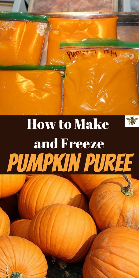 Cake Recipes Pumpkin, Freeze Pumpkin, Fresh Pumpkin Recipes, Pumpkin Puree Recipes, Fall Recipes Pumpkin, Frozen Pumpkin, Recipes Pumpkin, Homemade Pumpkin Puree, Sugar Pumpkin