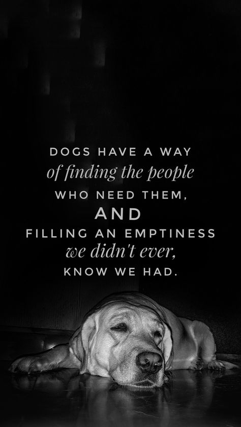 Dogs have a way of finding the people who need them, and filling an emptiness we didn't ever, know we had.   #dogs #dog #feeling #emotion #emotional #love #wallpaper #quotes #blackandwhite Let Sleeping Dogs Lie Quotes, Love Wallpaper Quotes, Dog Loyalty Quotes, Deserve Better Quotes, Dog Food Station, Rehome Dog, Lies Quotes, Therapy Quotes, Dog Died