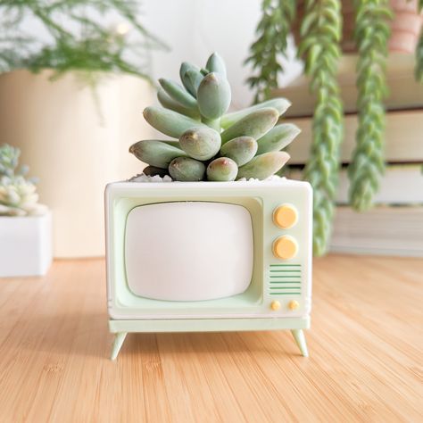 📺 Retro TV Succulent Planter  This cute lemon lime-colored succulent planter is a unique housewarming gift for plant lovers--or a great addition to your own houseplant collection. It makes a cute desk accessory or is right at home on a sunny bookshelf, whether you're into funky retro decor, a cozy maximalist aesthetic, or even have a more minimalist take on things. As longtime plant parents, we had to make a planter that ticked all the boxes:  🙌 a planter with drainage  🫗 a perfect-fit drip t Cutest Home Decor, Quirky Plant Pots, Decorative Plants Indoor, Colorful Funky Decor, Funky Retro Decor, Cute Things To 3d Print, Fairy Bedroom Aesthetic, Barbies Dreamhouse, Cute Pots For Plants