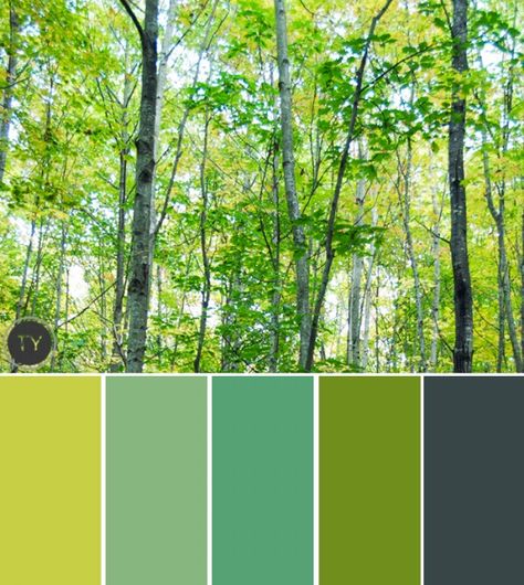 leaves-palette Jade Green Color Palette, Colour Pallettes, Forest Colors, Ty Pennington, Spring Forest, Colorful Tapestry, Forest Color, Green Palette, Paint Color Palettes