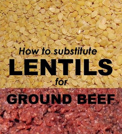 How to substitute lentils for ground beef Money Saving Mom, Lentil Recipes, Plant Based Eating, Seitan, Meatless Meals, Meat Free, Vegan Life, Vegan Eating, Vegan Dishes