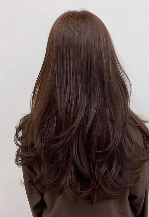 Long Curved Layers, Long Korean Layered Hair, Hair Reference Layers, Round Long Haircut, Haircut Ideas Long Layers, Long Layered Haircuts With Curtain Bangs Black Hair, Long Hair Layers Unstyled, 90s Haircuts Long Brunette, Low Layered Hair