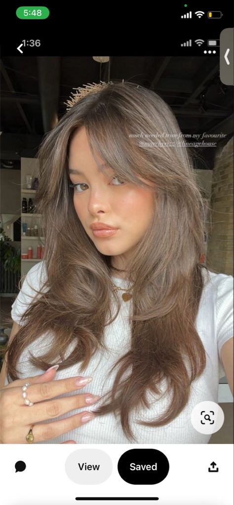 Mushroom Brown Face Framing Highlights, Light Brown On Asian Hair, Ash Brown On Tan Skin, Asian Ashy Brown Hair, Toned Light Brown Hair, Ashy Brown Hair Asian, Natural Mouse Brown Hair, Hair For Light Brown Eyes, Mossy Brown Hair