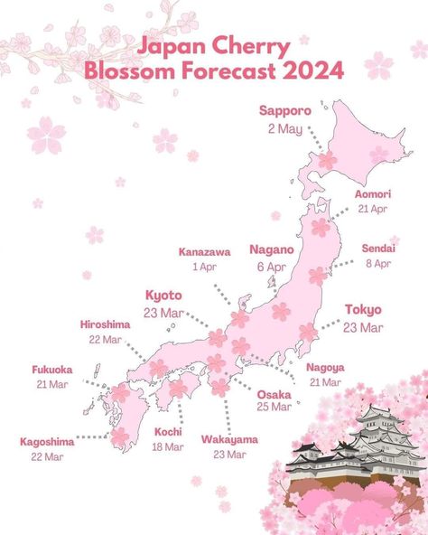 Japan Cherry Blossom Forecast 2024 Japan Honeymoon, Japan Bucket List, Spring In Japan, Japan Cherry Blossom, Dream Country, Japan Map, Cherry Blossom Japan, Tokyo Japan Travel, Traveling Teacher