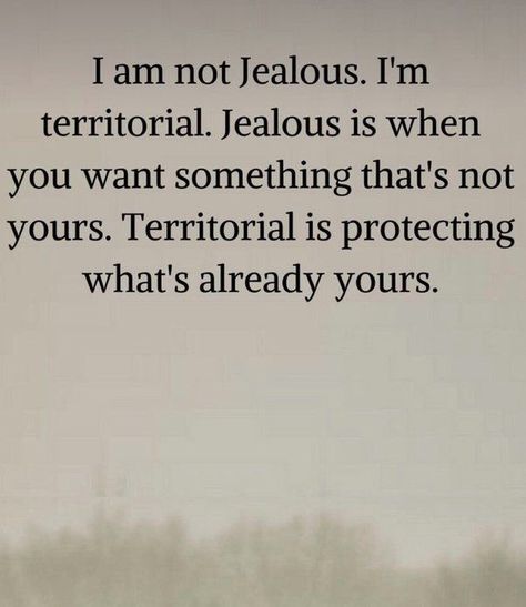 I Am Not Jealous #jealous #territorial I Am Not Jealous, Not Jealous, Aged To Perfection, This Man, For Life, To Learn, Love Quotes, Feelings, Quotes