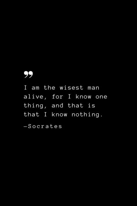 I Know That I Know Nothing Socrates, Check Quotes, Wise Man Quotes, Lion Gate, Words Of Courage, Socrates Quotes, Nietzsche Quotes, Widget Board, I Know Nothing