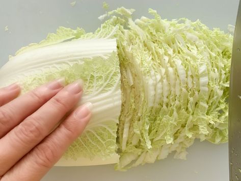 Napa Cabbage Sauerkraut, Fermented Napa Cabbage, Food For Gut Health, Napa Cabbage Recipes, Raw Cabbage, Sauerkraut Recipe, Nourishing Recipes, Homemade Sauerkraut, Fermented Cabbage