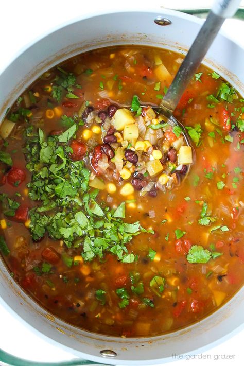 Black Bean Potato Soup, Soup With Black Beans, Southwest Soup, Garden Grazer, Chipotle In Adobo Sauce, Vegan Ground Beef, Black Bean Soup Recipe, Dried Black Beans, Black Bean Quinoa