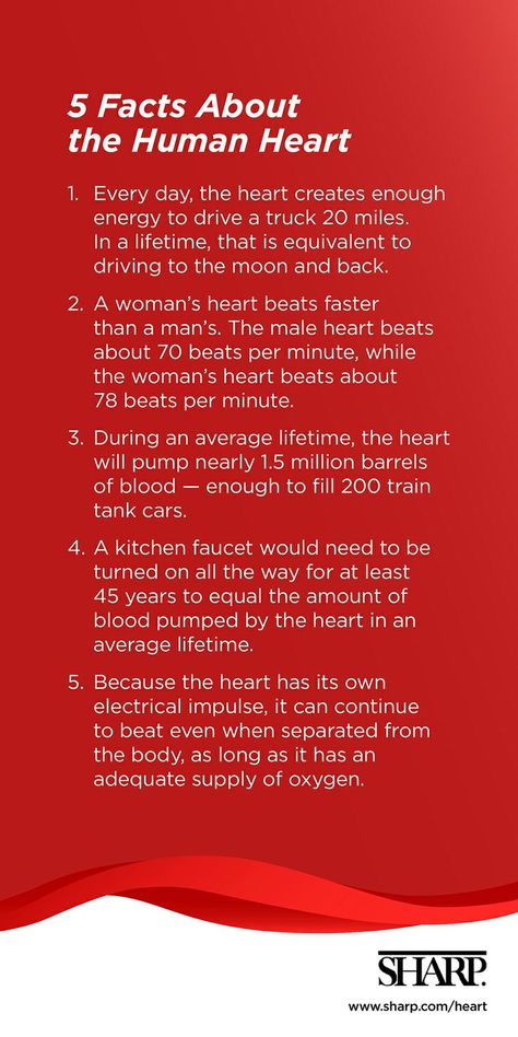 Heart Facts, Heart Health Month, Heart Month, The Human Heart, Heart Care, Health And Fitness Magazine, Healthy Diet Tips, Daily Health Tips, Human Heart