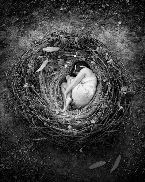 "Still, Life" Series — Sarah Treanor Fine Art Conceptual Photography, Artist Portfolio, Arte Obscura, Foto Art, Foto Inspiration, White Photo, 그림 그리기, Black And White Photography, Dark Art