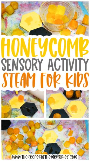 Bumblebee Activities For Preschool, Honey Crafts Preschool, Hexagon Activities For Preschool, Bees For Preschool, Bees Preschool, Sensory Activities For Preschoolers, Steam Activity, Bee Activities, Bee Classroom