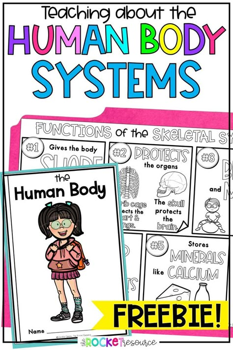 Teaching about the human body systems doesn't have to be difficult! Get this FREE fact book and coloring notes to get your unit started. https://therocketresource.com/teaching-the-human-body-systems/ Teaching Body Systems Elementary, 1st Grade Human Body Unit, Human Body Systems Anchor Chart, Human Body Kindergarten Free Printables, Human Body Systems Projects Middle School, Human Body Systems Worksheets, Body Systems Worksheets Free Printable, Skeletal System Activities For Kids, Grade 5 Human Body Systems