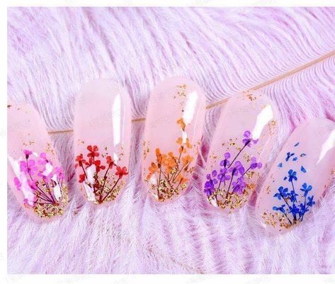 Nail Crystal Designs, Dried Gypsophila, Gypsophila Flower, Nail Tip Designs, Natural Nail Art, Water Color Nails, Milky Nails, Colorful Nail Art, Wedding Mehndi Designs