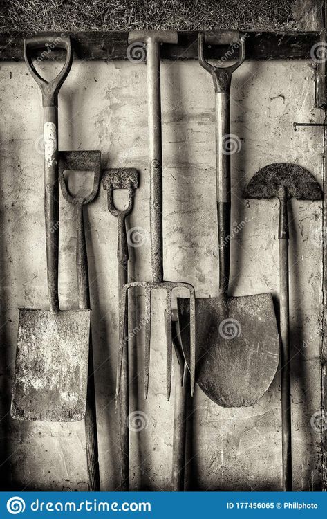 Horticulture Garden, Garden Spade, Gardening Tools, Garden Shed, Shovel, Forks, Horticulture, Royalty Free Images, Garden Tools