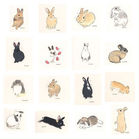 Rabbit design store Rebekka Rabbit Portrait, Rabbit Jumping, Bunny Tattoos, Bunny Drawing, Rabbit Design, Bunny Art, Cute Kawaii Drawings, Pet Rabbit, Aesthetic Gif