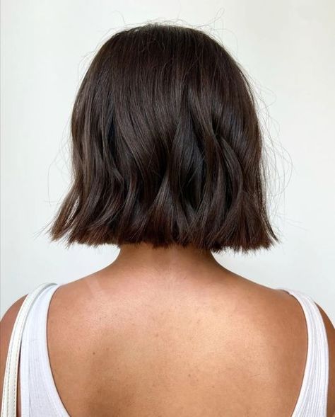 Brown Bob Aesthetic, Dark Chocolate Short Hair, Bluntcut Bob Brown, Short Thick Dark Brown Hair, Chunky Bob Haircut Choppy Layers, Short Brown Bob Hairstyles, Bob Brown Hair With Highlights, Brown Short Bob Haircut, Chocolate Bob Hair