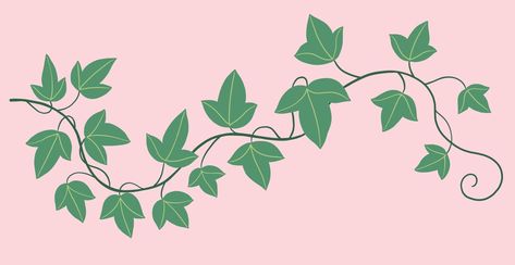 Poison Ivy Illustration, Poison Ivy Drawing, Taylor Swift Symbols, Poison Ivy Plant, Ivy Draw, Poison Ivy Plants, Ivy Plant, Editing Png, Freehand Drawing