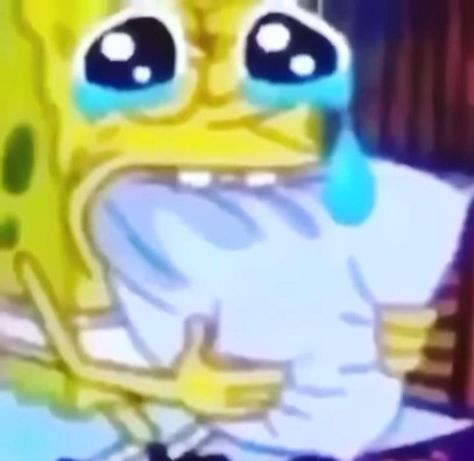 Crying Video, Gif Lucu, Sponge Bob, Instagram Funny Videos, Anime Pics, Funny Profile Pictures, Funny Reaction Pictures, Funny Vid, صور مضحكة